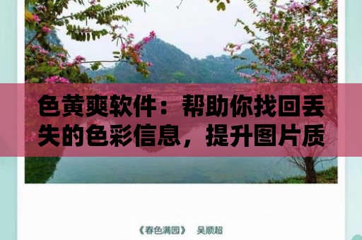 色黃爽軟件：幫助你找回丟失的色彩信息，提升圖片質量