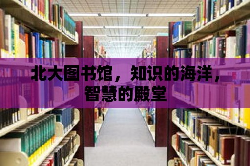 北大圖書館，知識的海洋，智慧的殿堂