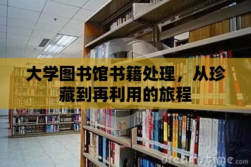 大學(xué)圖書館書籍處理，從珍藏到再利用的旅程