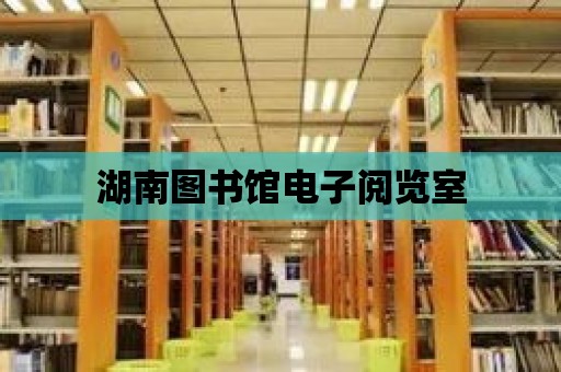 湖南圖書館電子閱覽室