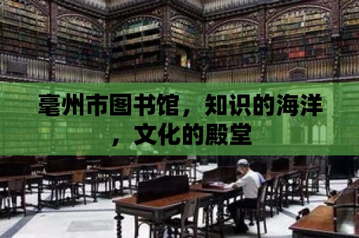 毫州市圖書館，知識的海洋，文化的殿堂