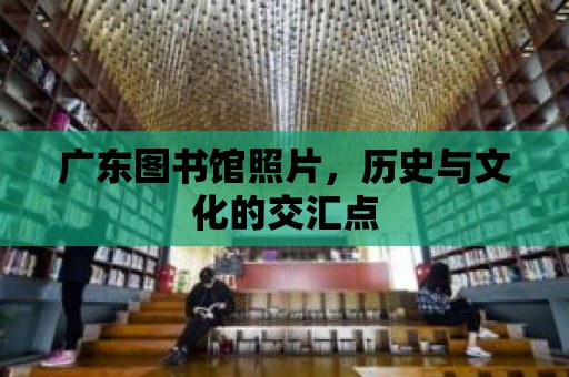 廣東圖書館照片，歷史與文化的交匯點