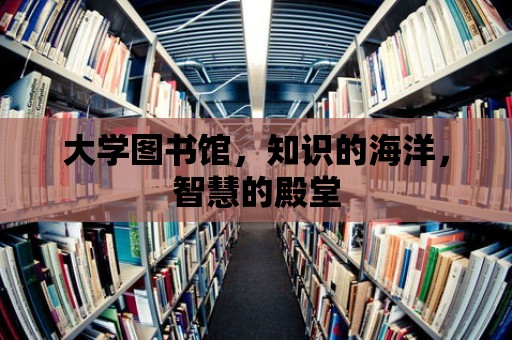 大學(xué)圖書館，知識的海洋，智慧的殿堂