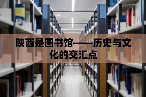 陜西是圖書館——歷史與文化的交匯點