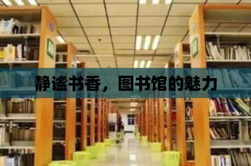 靜謐書香，圖書館的魅力