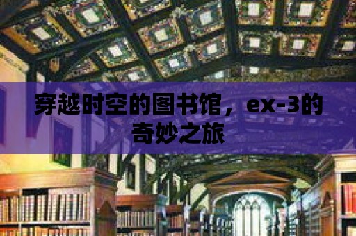 穿越時空的圖書館，ex-3的奇妙之旅