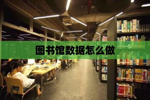 圖書館數據怎么做