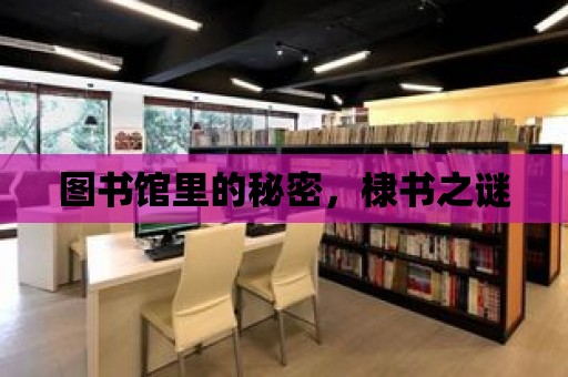 圖書館里的秘密，棣書之謎