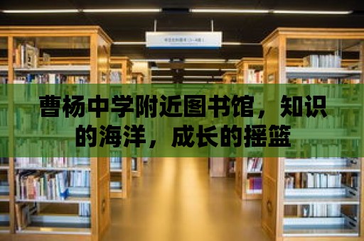 曹楊中學附近圖書館，知識的海洋，成長的搖籃