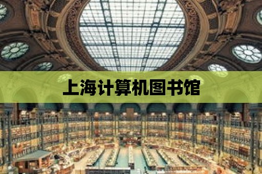 上海計算機圖書館