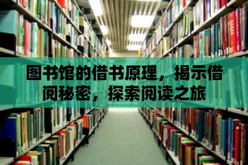 圖書館的借書原理，揭示借閱秘密，探索閱讀之旅