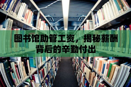 圖書館助管工資，揭秘薪酬背后的辛勤付出