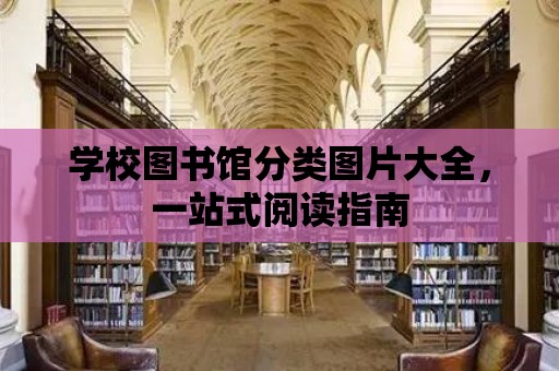 學(xué)校圖書館分類圖片大全，一站式閱讀指南