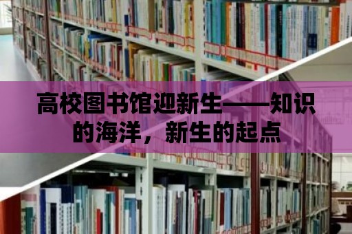 高校圖書館迎新生——知識的海洋，新生的起點