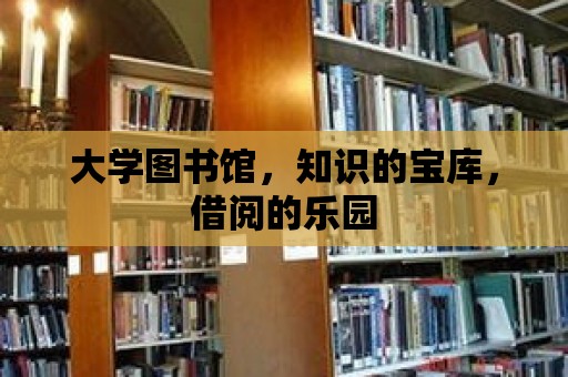 大學(xué)圖書館，知識(shí)的寶庫，借閱的樂園