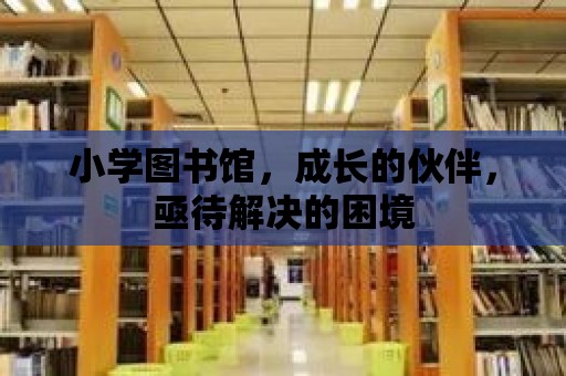 小學圖書館，成長的伙伴，亟待解決的困境