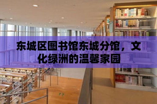 東城區圖書館東城分館，文化綠洲的溫馨家園