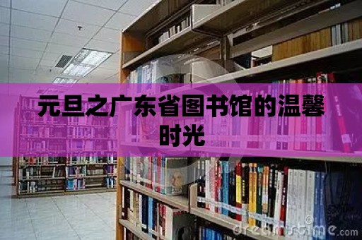 元旦之廣東省圖書館的溫馨時光