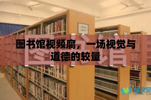 圖書館視頻腐，一場視覺與道德的較量