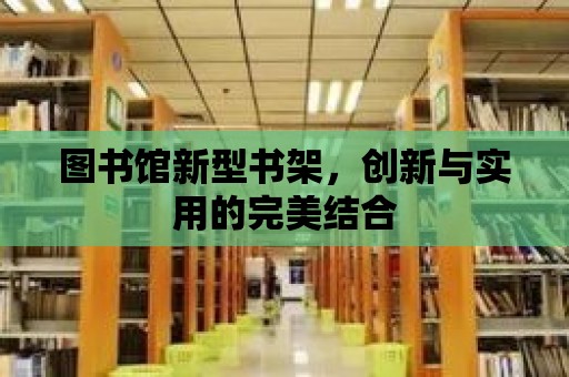 圖書館新型書架，創新與實用的完美結合