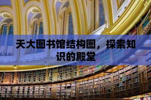 天大圖書館結(jié)構(gòu)圖，探索知識的殿堂