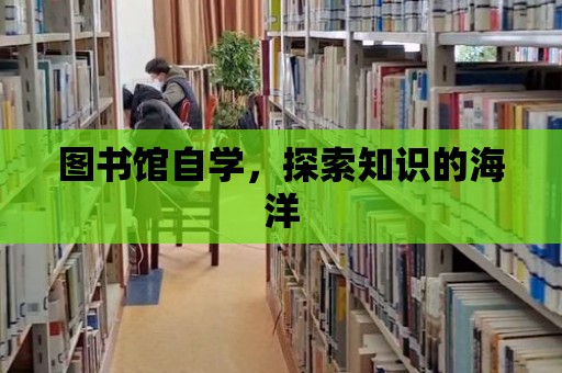 圖書館自學，探索知識的海洋