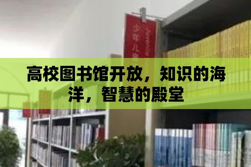 高校圖書館開放，知識的海洋，智慧的殿堂