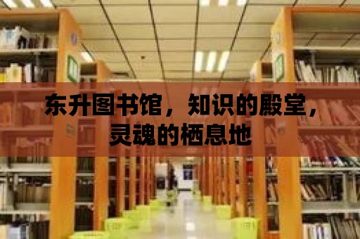 東升圖書館，知識的殿堂，靈魂的棲息地