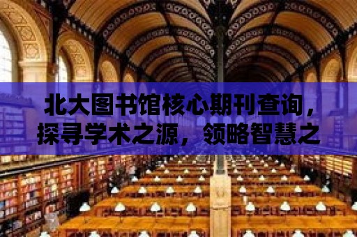 北大圖書館核心期刊查詢，探尋學術之源，領略智慧之光