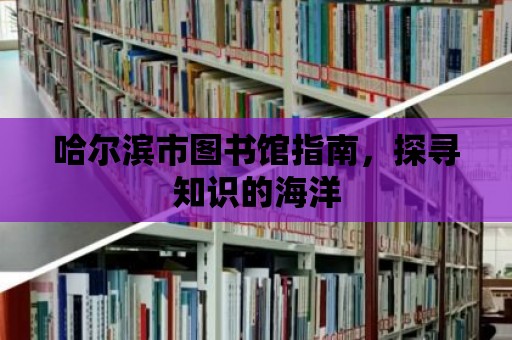 哈爾濱市圖書館指南，探尋知識的海洋