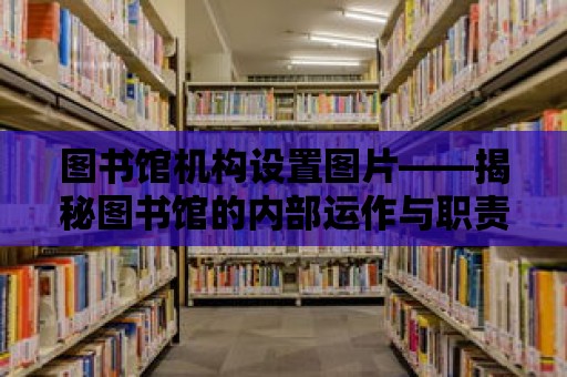 圖書館機構設置圖片——揭秘圖書館的內部運作與職責分工