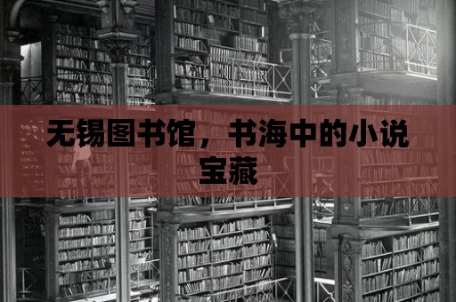 無錫圖書館，書海中的小說寶藏