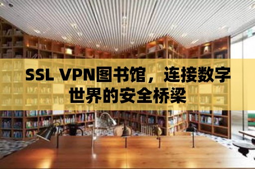 SSL VPN圖書館，連接數字世界的安全橋梁