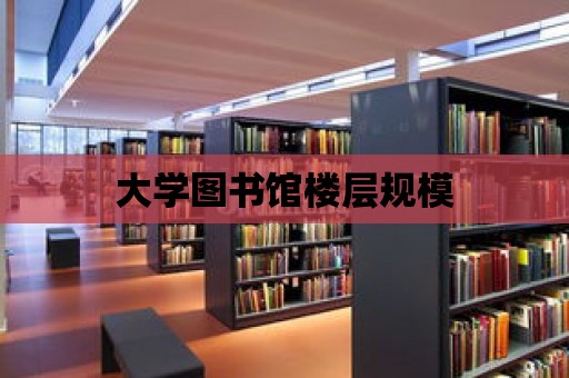 大學圖書館樓層規(guī)模