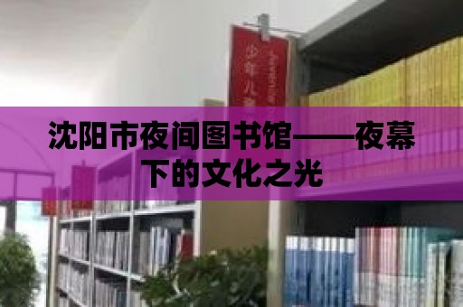 沈陽市夜間圖書館——夜幕下的文化之光