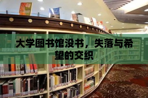 大學(xué)圖書館沒書，失落與希望的交織