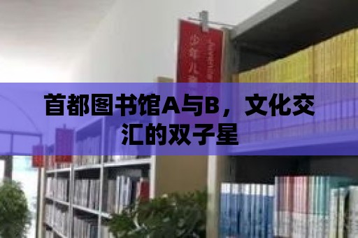 首都圖書館A與B，文化交匯的雙子星