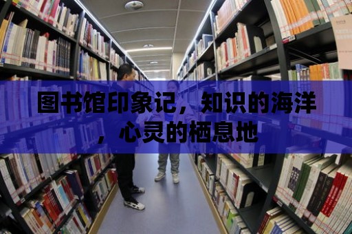 圖書館印象記，知識的海洋，心靈的棲息地