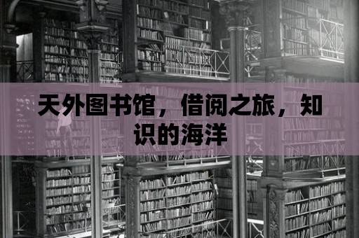 天外圖書館，借閱之旅，知識的海洋