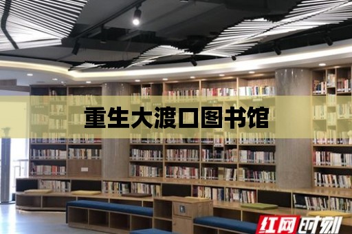 重生大渡口圖書館