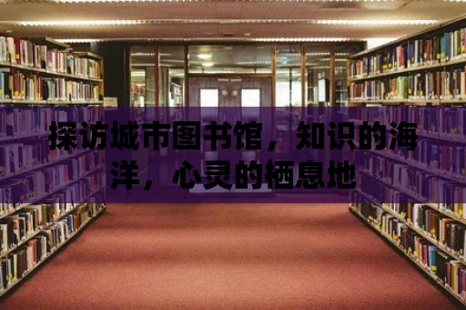 探訪城市圖書館，知識的海洋，心靈的棲息地