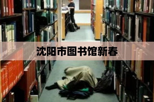 沈陽市圖書館新春