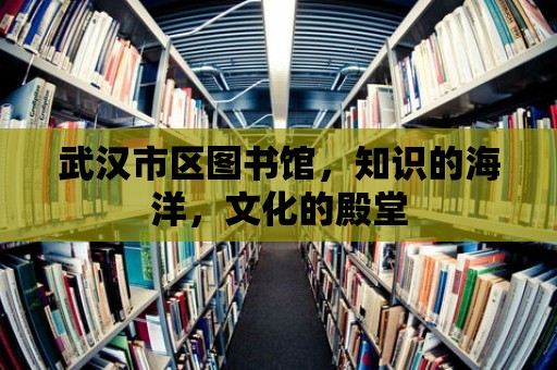 武漢市區(qū)圖書館，知識的海洋，文化的殿堂