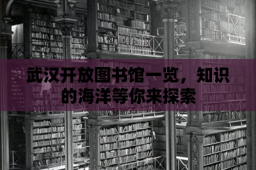 武漢開放圖書館一覽，知識(shí)的海洋等你來探索