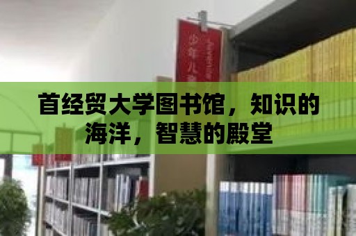 首經(jīng)貿(mào)大學(xué)圖書館，知識(shí)的海洋，智慧的殿堂