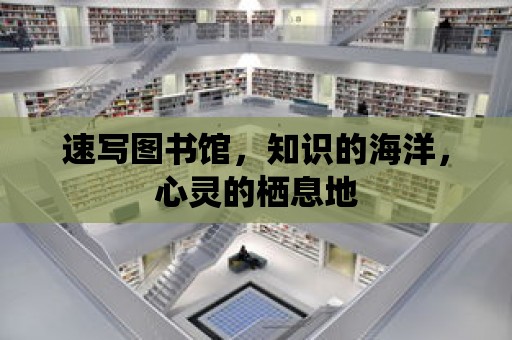 速寫圖書館，知識的海洋，心靈的棲息地