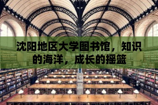 沈陽地區(qū)大學(xué)圖書館，知識(shí)的海洋，成長(zhǎng)的搖籃