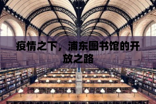 疫情之下，浦東圖書館的開放之路