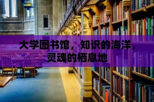 大學圖書館，知識的海洋，靈魂的棲息地