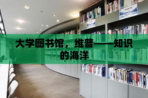 大學圖書館，維普——知識的海洋